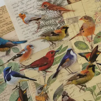 30 Buc Epocă de COMPANIE Decorativ Autocolant Impermeabil Păsări Colorate pentru Scrapbooking Material Etichetă de Hârtie Jurnal Junk Jurnalul Planificator