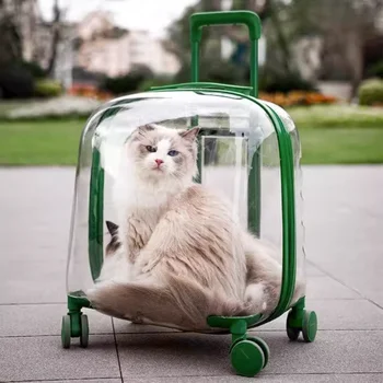 Călătorie În Aer Liber Pisica Transportatorii Cer Carucior Carucioare Cărucior Spațiu Respirabil Pisica Transport Marfa Mochila Para Perro Pisici Produse