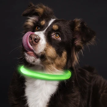 LED Zgardă Luminoasă USB Pisică Câine Guler 3 Moduri de Lumina Led-uri Stralucitoare de Prevenire a Pierderilor de CONDUS Guler Pentru Câini Câine de Companie Accesorii