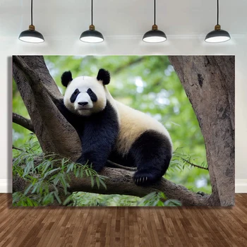 Panda Fundaluri Foto Petrecere De Aniversare Fericită Fotografie Fondul Copil De Dus Animal Banner Decor De Vinil Foto Studio Elemente De Recuzită