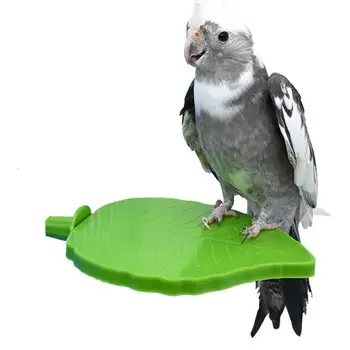 Pasăre sta animale de Companie jucărie Forma de Frunze de Pasăre Platformă Pentru Cusca Papagal Biban Stand Jucarii pentru Papagalul Papagal Papagalul joacă accesorii