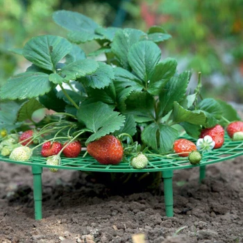 Planta Plastic Instrument De Căpșuni În Creștere Cerc Raft Suport Agricultura Cadru De Grădinărit De Viță De Vie De Plante Cuști Grădină Consumabile